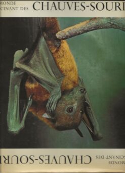Le Monde Fascinant des Chauves-Souris