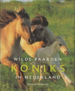 Koniks - Wilde paarden in Nederland
