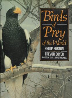 Birds of Prey