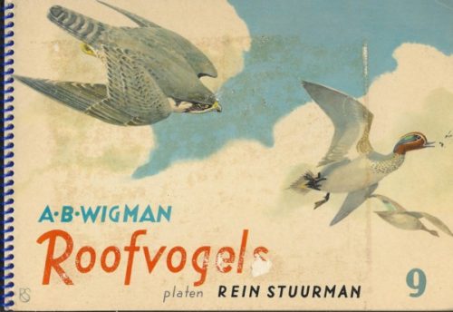 Roofvogels en vederspel