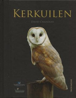 Kerkuilen