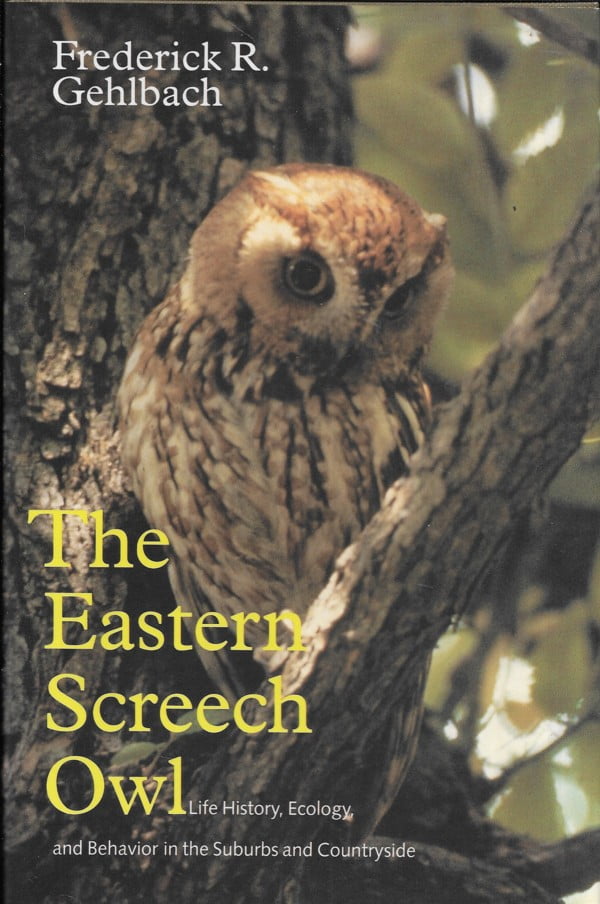 The Eastern Screech Owl