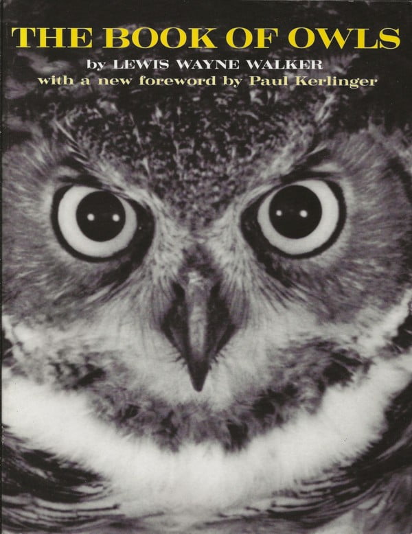 The Book of Owls