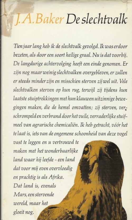 De slechtvalk