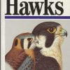 A Field Guide to Hawks of North America