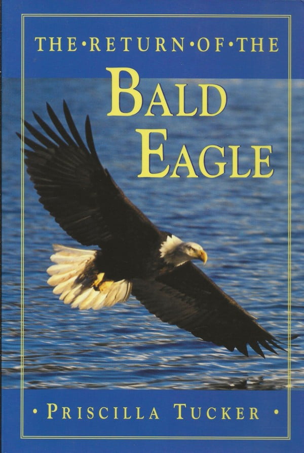 The Return of the Bald Eagle