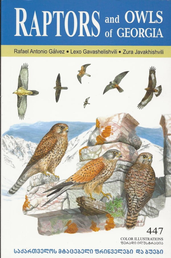 Raptors and Owls of Georgia