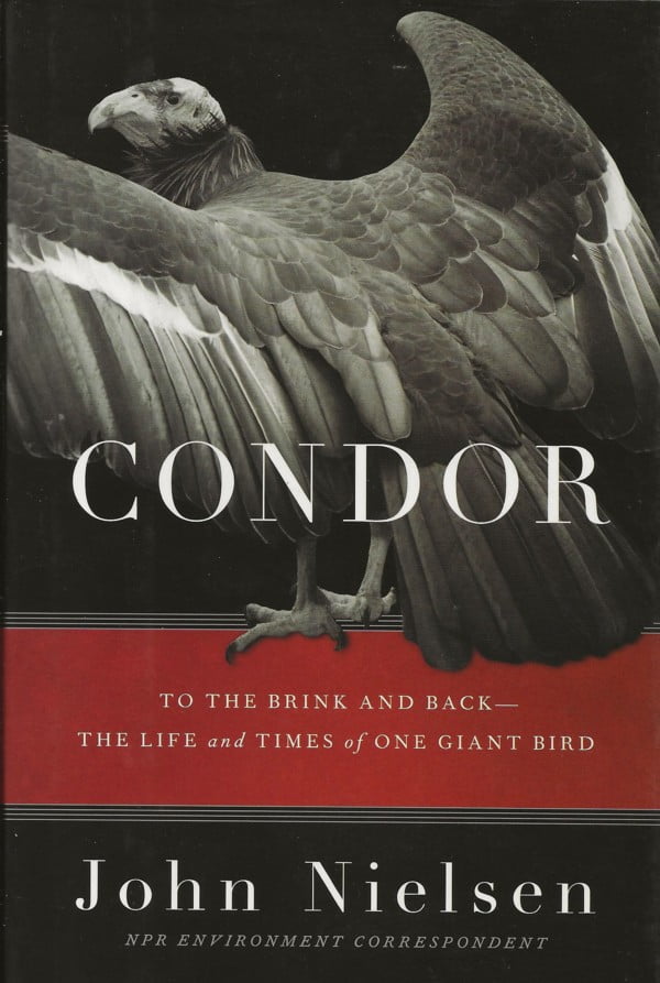 Condor - To the brink and back - The life and times of one giant bird