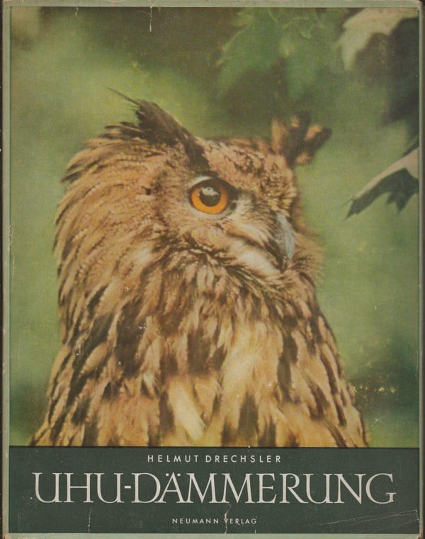 Uhu-Dämmerung