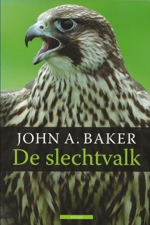 De slechtvalk