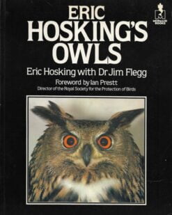 Eric Hosking`s Owls