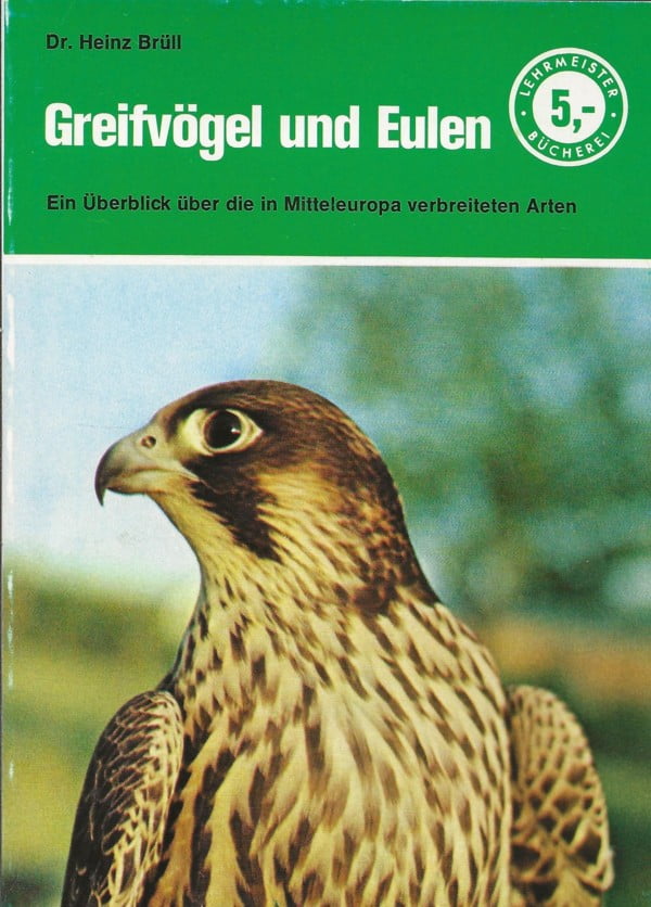 Greifvögel und Eulen