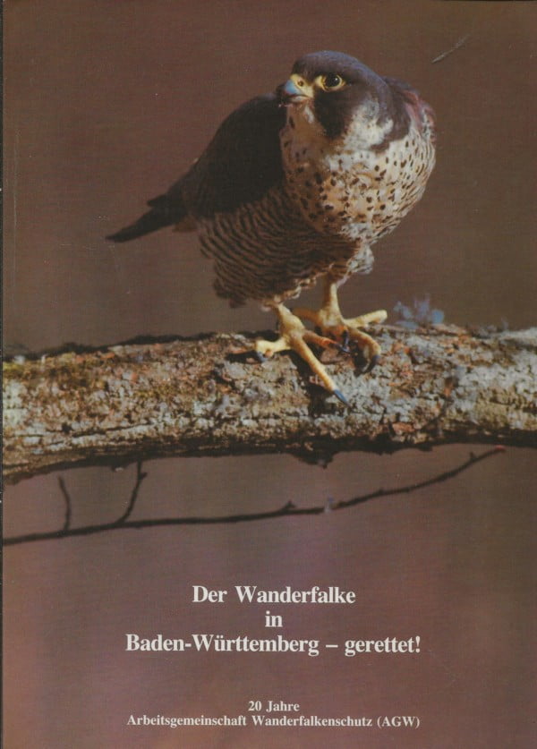Der Wanderfalke in Baden-Württemberg - gerettet!