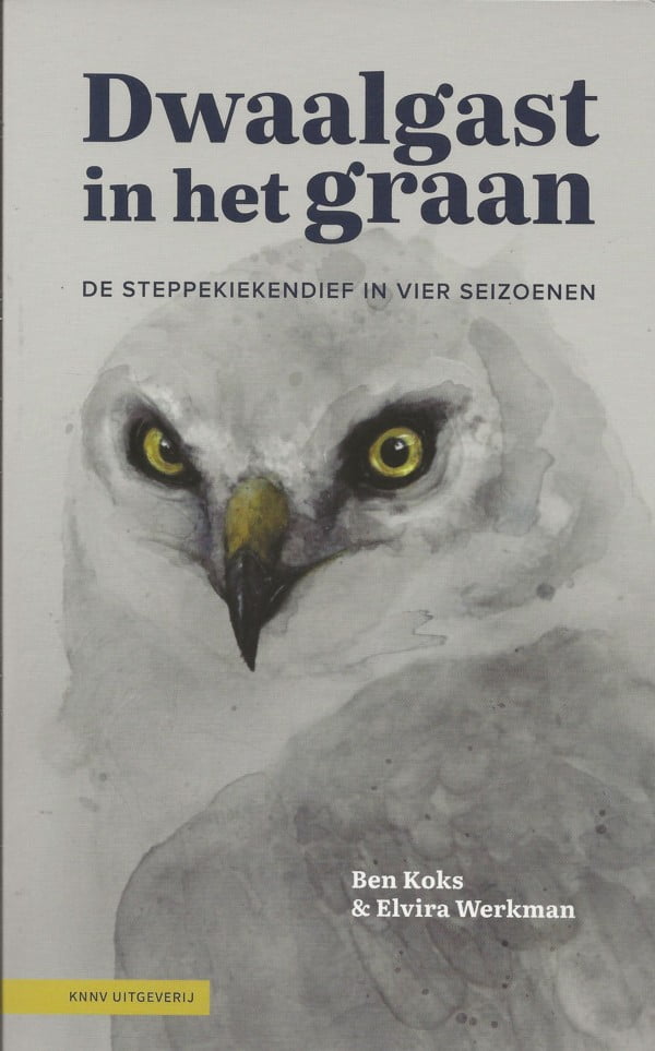 Dwaalgast in het graan - De steppekiekendief in vier seizoenen
