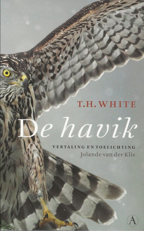 De havik