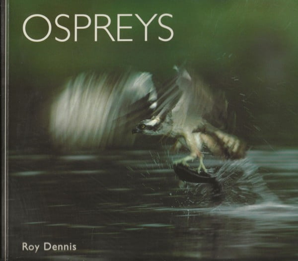 Ospreys