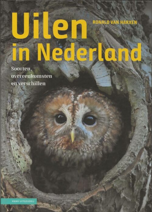 Uilen in Nederland
