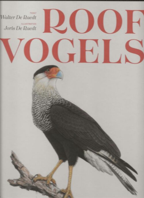 Roofvogels - De mooiste en machtigste dieren in de lucht