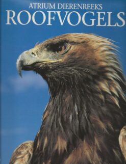 Roofvogels