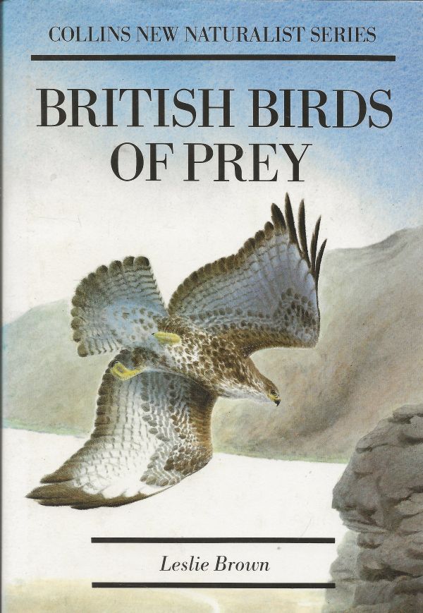 British Birds of Prey