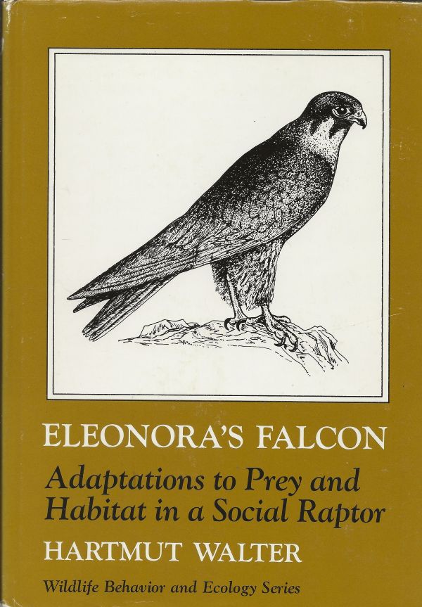 Eleonora's Falcon - Adaptations to Prey and Habitat in a Social Raptor