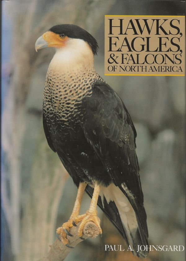 Hawks, Eagles & Falcons of North America