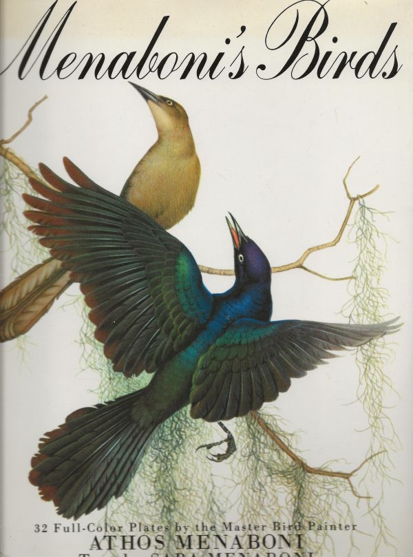 Menaboni`s Birds