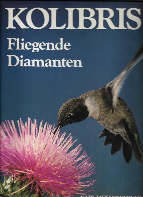 Kolibris Fliegende Diamanten
