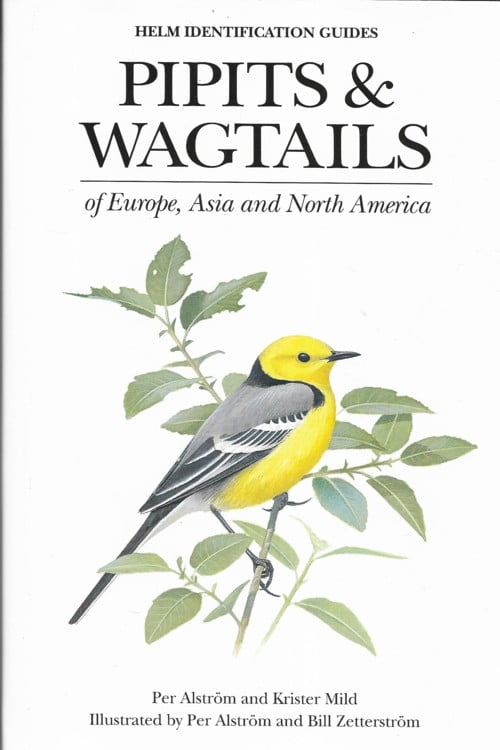 Pipits & Wagtails of Europe, Asia and North America