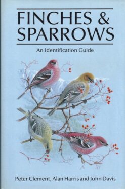 Finches & Sparrows