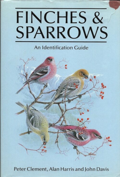Finches & Sparrows