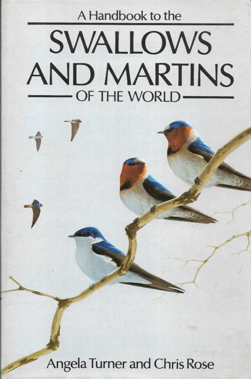 Swallows and Martins of the World