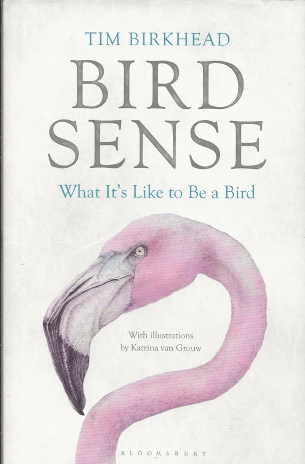 Bird Sense - What It's Like to Be a Bird