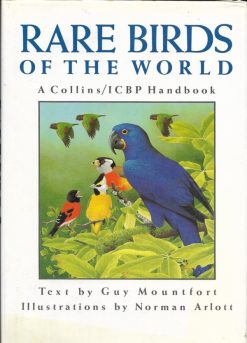 Rare Birds of the World