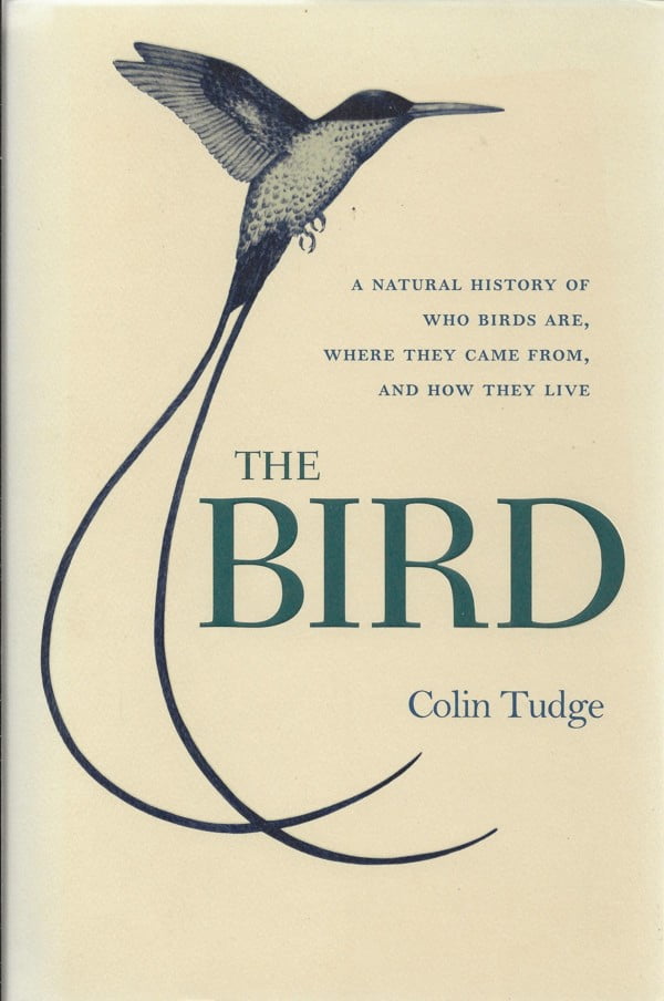 The BIRD