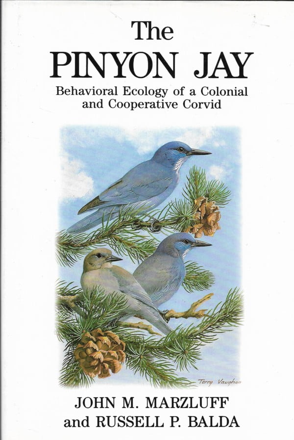 The Pinyon Jay – Behavioral Ecology of a Colonial and Cooperative Corvid