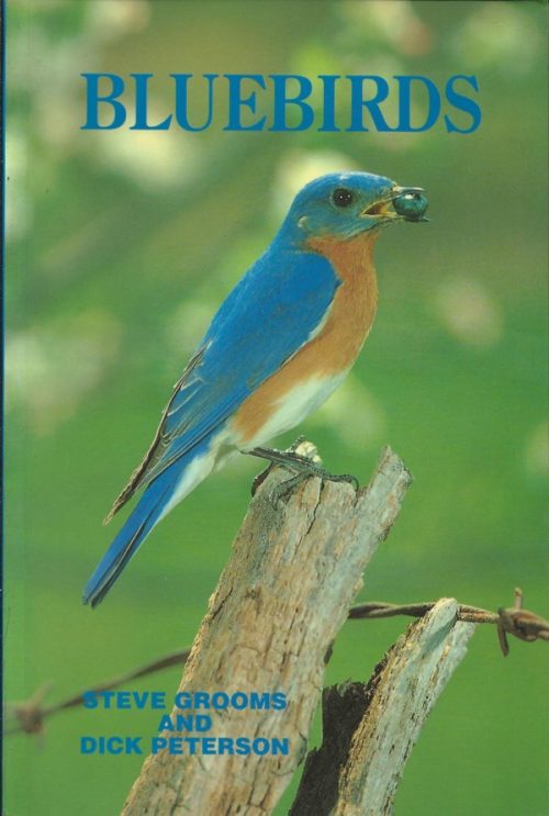 Bluebirds