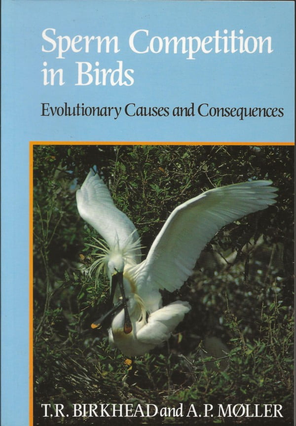 Sperm Competition in Birds