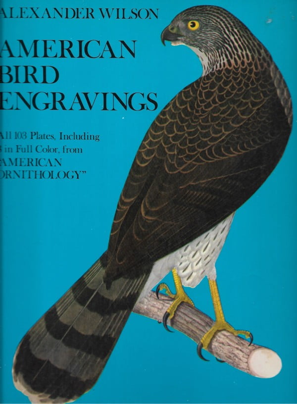 American Bird Engravings