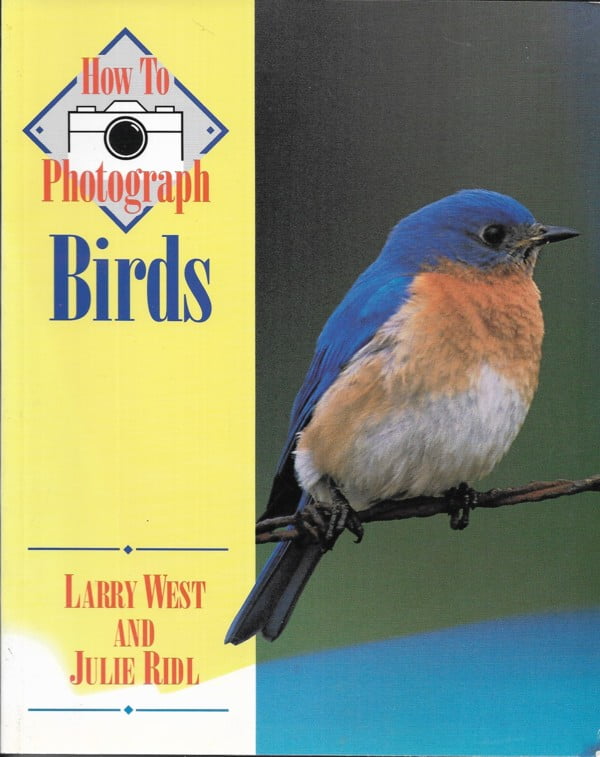 How to Photograph Birds
