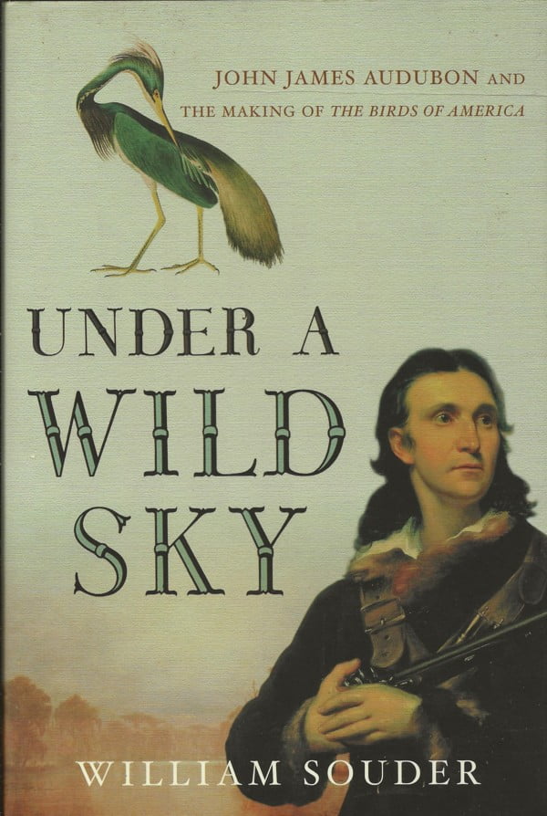 Under a Wild Sky