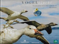 Vogelvlucht