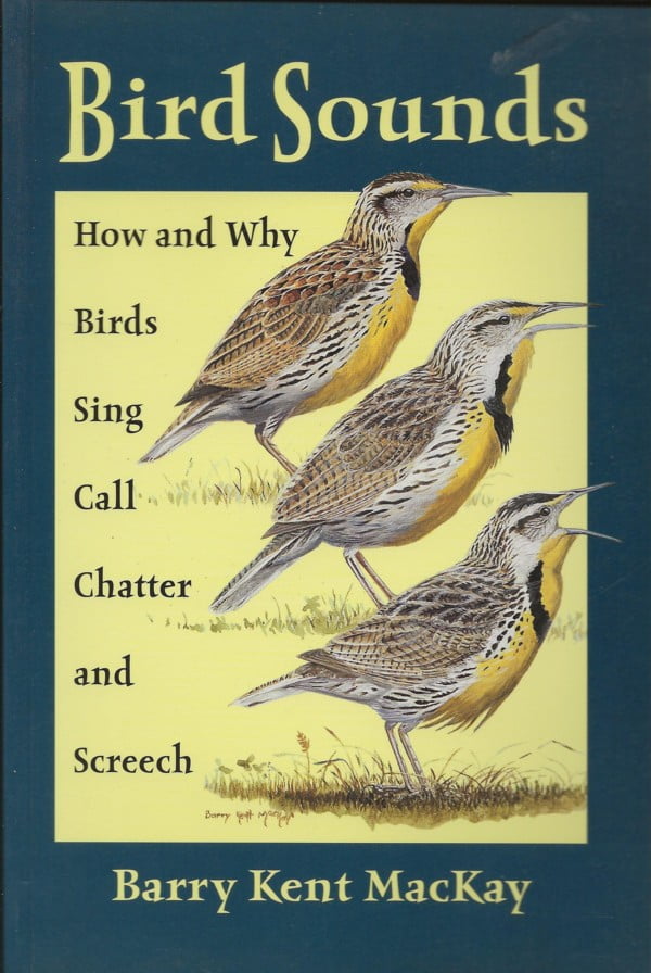 Bird Sounds - How and Why Birds Sing Call Chatter and Screech