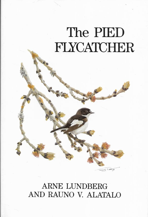 The Pied Flycatcher