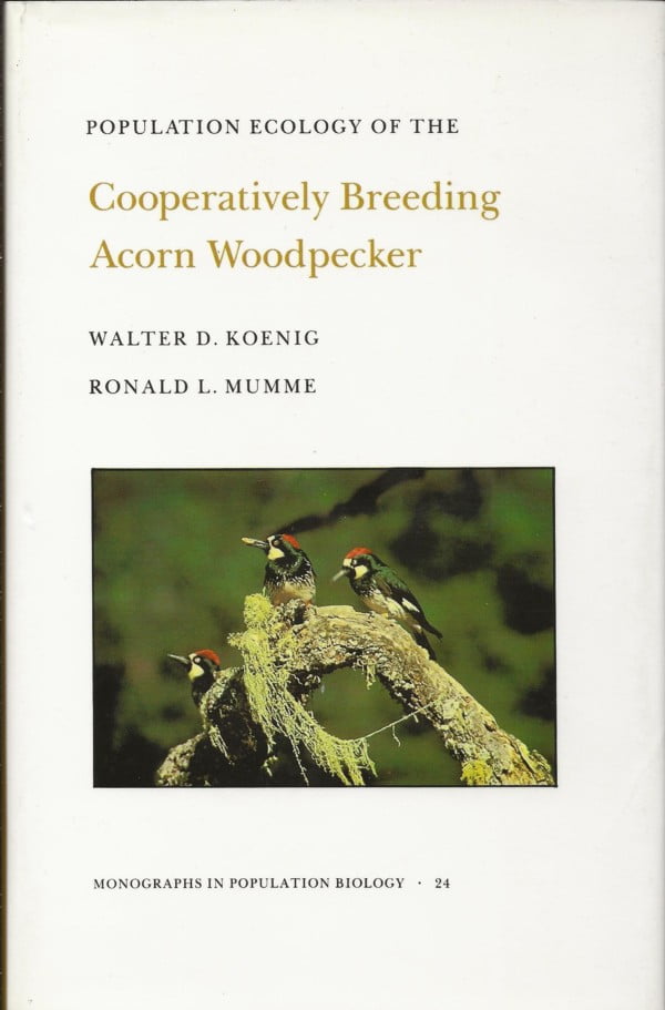 Population Ecology of the Cooperatively Breeding Acorn Woodpecker