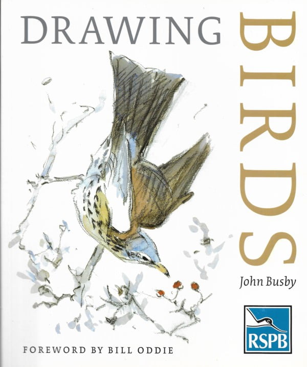 Drawing Birds