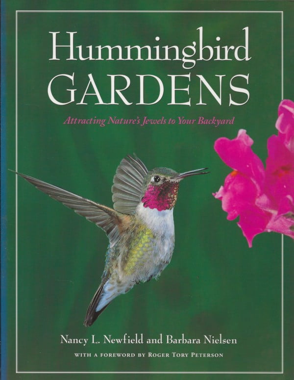 Hummingbird Gardens Attracting Nature's Jewels to Your Backyard