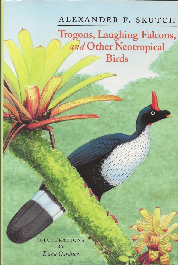 Trogons, Laughing Falcons and Other Neotropical Birds