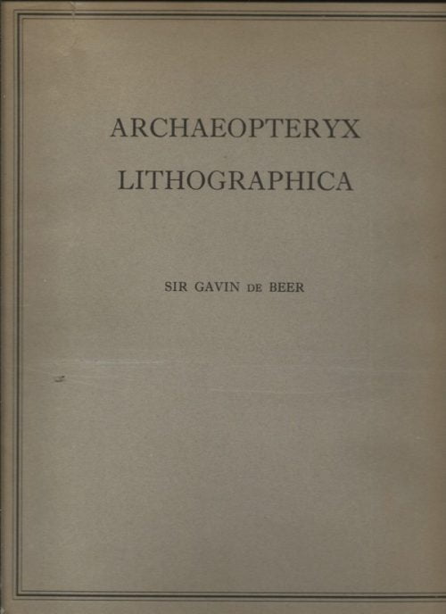 Archaeopteryx lithographica