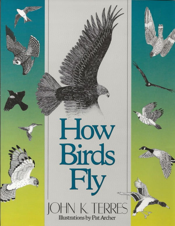 How Birds Fly